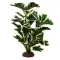 Штучна рослина Hobby Ficus Elastica 2 55 см (37706) для тераріуму, акватераріуму та палюдаріуму — Фото 3