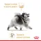Сухий корм Royal Canin POMERANIAN ADULT для дорослих собак породи Померанський шпіц 1,5 кг — Фото 9