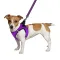 Шлея для собак Bronzedog Mesh Vest 3D сітка фіолетова 2XS — Фото 6