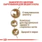 Сухий корм Royal Canin AGEING+12 для Кіт 2 кг — Фото 8