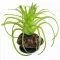 Штучна рослина Hobby Terra Succulent 5 8 см (37734) для тераріуму, акватераріуму та палюдаріуму — Фото 3