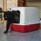Ferplast TOILET HOME ARIEL 10 Туалет для котів — Фото 14