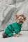 Комбінезон Pet Fashion EGO М зелений для собак — Фото 11