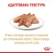 Вологий корм Royal Canin POMERANIAN LOAF для дорослих собак породи Померанський шпіц 85 г — Фото 5