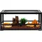 Тераріум Repti-Zoo 60x45x32см зі скляними дверцятами, замком та водостійким дном (RK0117N) — Фото 11