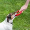 Ferplast SMILE M RED DOG RING — Фото 11