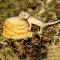 HABISTAT SANDSTONE JELLY POT HOLDER (R3100010) тримач — Фото 7