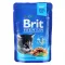 Вологий корм Brit Premium Cat Pouch для кошенят, з куркою, 100 г — Фото 4