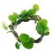 Штучна ліана Hobby Jungle Vine 1 100 см (37702) - гнучка декоративна рослина для тераріуму, акватераріуму та палюдаріуму — Фото 10