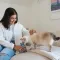 Ласощі для котів GimCat Nutri Pockets Fish Тунець 60 г — Фото 8
