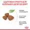 Сухий корм Royal Canin XSMALL PUPPY для цуценят мініатюрних порід 1,5 кг — Фото 16