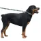 Нашийник для Собак BronzeDog Urban Зигзаг Нейлоновий з Пластиковою Пряжкою Жовто-Синій L — Фото 9