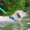 Нашийник для собак водостійкий WAUDOG Waterproof c QR паспортом, світонакоплювальний, пластикова пряжка-фастекс, Ш 25 мм, Дов 38-58 см — Фото 6
