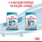 Сухий корм Royal Canin GIANT PUPPY для цуценят гігантських порід 15 кг — Фото 13