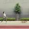 Повідець-рулетка для собак WAUDOG R-leash, кругла, XS-M, до 40 кг, 2,9 м, світловідбиваюча стрічка білий — Фото 14
