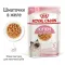 Вологий корм Royal Canin KITTEN INSTINCTIVE IN JELLY для кошенят всіх порід 85 г — Фото 6