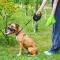 Повідець-рулетка для собак WAUDOG R-leash з контейнером для пакетів, світловідбивна стрічка, L, до 40 кг, 5 м, чорний — Фото 15