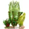 Штучна рослина Kruger Meier Plant Forest 21x7x32см (21931) — Фото 6