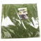 Фон моховий Repti-Zoo Natural Moss Back & Bottom 45x45см 2шт. (NCM4545) — Фото 11