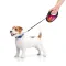 Повідець-рулетка для собак WAUDOG R-leash, малюнок "Конотопські магічні війська", M, до 25 кг, 5 м, світловідбиваюча стрічка чорний — Фото 18