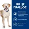 Hill’s Prescription Diet d/d Сухий корм для собак при харчовій алергії, з качкою та рисом, 12 кг — Фото 12