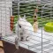 Ferplast CAGE RABBIT 100 (*1) Клітка для кролів — Фото 18