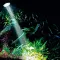 Розпилювач з LED освітленням Hobby Bubble Air Spot colour & moon (00677) — Фото 17