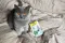 Вітамінізовані ласощі для котів GimCat Cat-Mintips з котячою м'ятою, 40 г — Фото 4