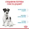 Сухий корм Royal Canin MINI STARTER для дорослих собак малих порід 8 кг — Фото 13