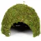 Схованка з моху Repti-Zoo Natural Mossy Dome L 22x17 (ERS25L) — Фото 8
