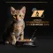 Вологий корм PRO PLAN Kitten Healthy Start для кошенят шматочки в паштеті з індичкою 75 г — Фото 15