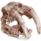 Декорація череп тигра Terrario Sabertooth Skull 13x8,5x11см (15911) — Фото 8