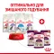 Вологий корм Royal Canin SENSORY TASTE JELLY для котів всіх порід 85 г — Фото 8