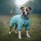 Дощовик для собак WAUDOG Clothes, водонепроникний, L55, В 77-79 см, С 50-55 см, блакитний — Фото 7