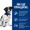 Hill's Prescription Diet i/d Stress Mini Сухий корм для собак малих порід для догляду за травленням при стресових факторах, з куркою, 3 кг — Фото 12