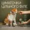 Корм вологий Savory Chicken Fillets rich in Shrimps in Jelly for Kittens філе курки з креветками в желе для кошенят, 70 г — Фото 14