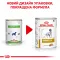 Дієтичний вологий корм Royal Canin URINARY DOG (паштет) для собак 410 г — Фото 5