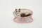 Складаний лежак для домашніх тварин MISOKO Pet bed round plush, 45x45x22 cm, pink — Фото 9