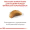 Сухий корм Royal Canin KITTEN BRITISH SHORTHAIR для породи кошенят Британська короткошерста кішка 0,4 кг — Фото 8
