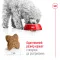 Сухий корм Royal Canin MINI ADULT для дорослих собак малих порід 2 кг — Фото 11