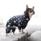Вітровка для собак WAUDOG Clothes, малюнок "Рік та Морті 2", XS22, В 30-34 см, С 19-21 см — Фото 8