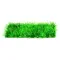 Штучна рослина килимок Hobby Plant Mat 1 25x12,5см (41530) — Фото 3