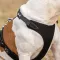 Ferplast GIOTTO P L-XL HARNESS LUXOR Шлея, шкіра — Фото 14