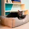 Ferplast CHESTER 60 BEDDING BROWN М'яке місце д/тварин — Фото 10