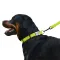 Нашийник для Собак BronzeDog Active Нейлоновий зі Світловідбиттям та Металевою Пряжкою Салатовий M — Фото 7