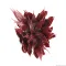 Штучна рослина Repti-Zoo Alternanthera Rosaefolia 20см (TP012) — Фото 9