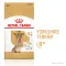 Сухий корм Royal Canin YORKSHIRE AGEING 8+ для собак зрілого віку породи Йоркшир-тер'єр 1,5 кг — Фото 6