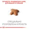 Сухий корм Royal Canin BEAGLE ADULT для дорослих собак породи Бігль 3 кг — Фото 11