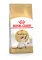 Сухий корм Royal Canin SIAMESE ADULT для сіамських котів 0,4 кг — Фото 6