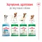 Сухий корм Royal Canin MINI ADULT 8+ для собак зрілого віку малих порід 0,8 кг — Фото 6